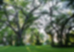 Jardín de la Paz - Lambaré