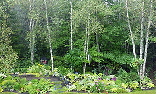 Mona savoie Garden.jpeg