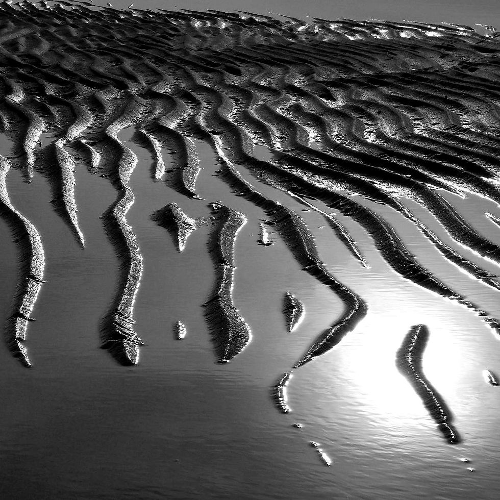 Ira Crummey