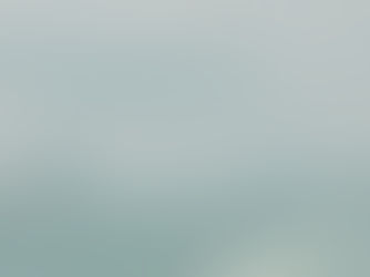 ニューヨークの風景