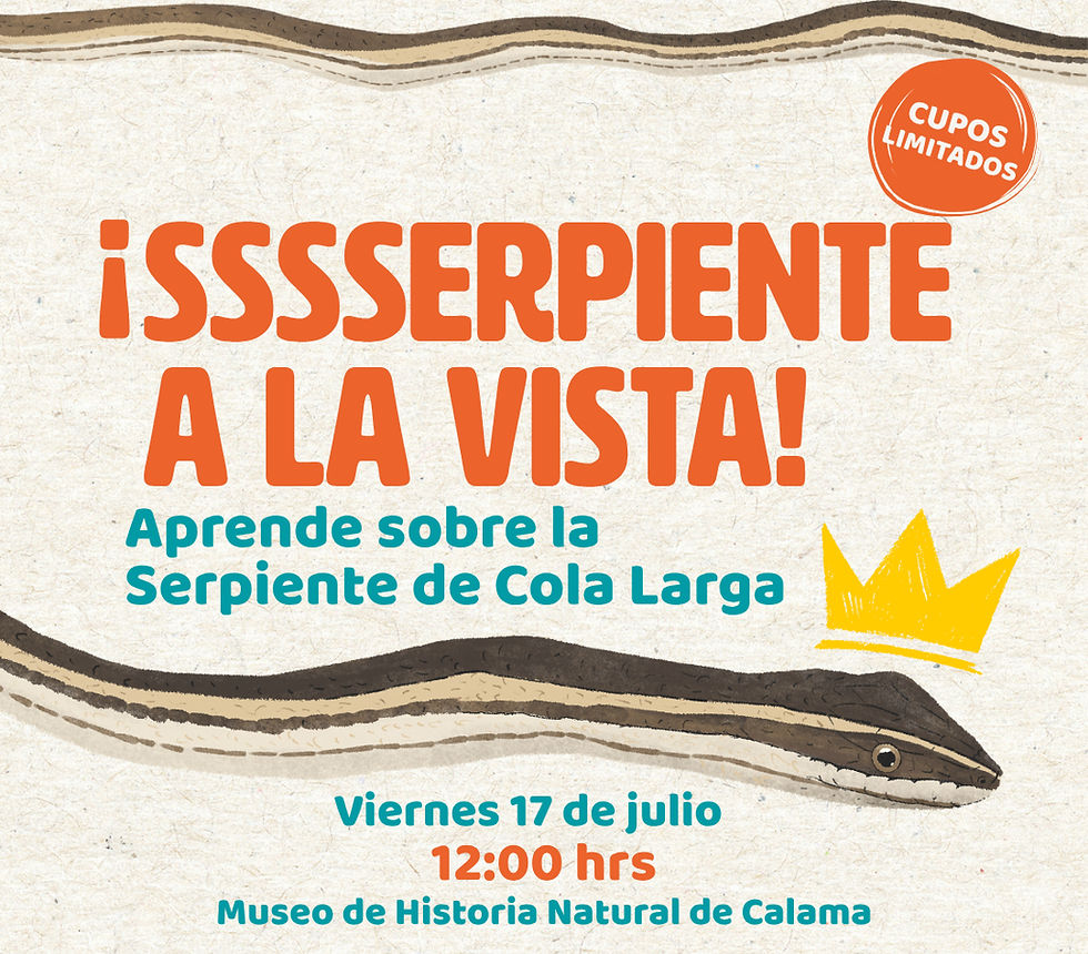 Suspendido: Conoce a la ssserpiente: Embajadora de la Fauna