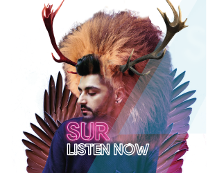 Sur Website Banner 1
