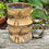 Thumbnail: Fox Sun Mini Mug