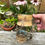 Thumbnail: Fox Sun Mini Mug