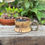 Thumbnail: Fox Sun Mini Mug
