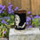 Thumbnail: David Bowie Mug