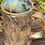 Thumbnail: Barky Beer Mug
