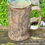 Thumbnail: Barky Beer Mug