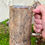 Thumbnail: Barky Beer Mug