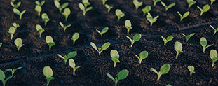 Promotion practices need to evolve