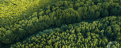 Recruitment practices may stifle diversity