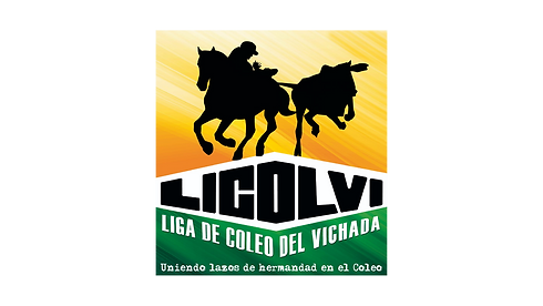 LIGA DEL VICHADA.png