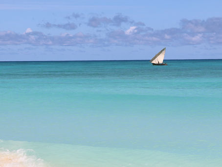 Circulations et appartenances : Leçons de l’océan Indien - Hommage à Pier Larson