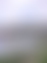 Table ronde - Autour de l'histoire de Madagascar - Faranirina Rajaonah