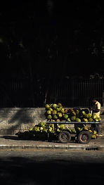 23B95E5A-57B4-484A-BF00-DE5BEDD06494_1_105_c.jpeg