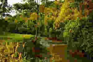 OmMaYaOm - nature