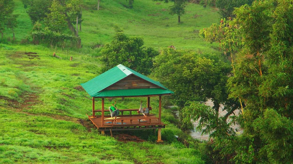 OmMaYaOm center