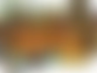 Estudios sobre rol de la macrofauna edáfica en la perturbación de materiales arqueológicos de la mic