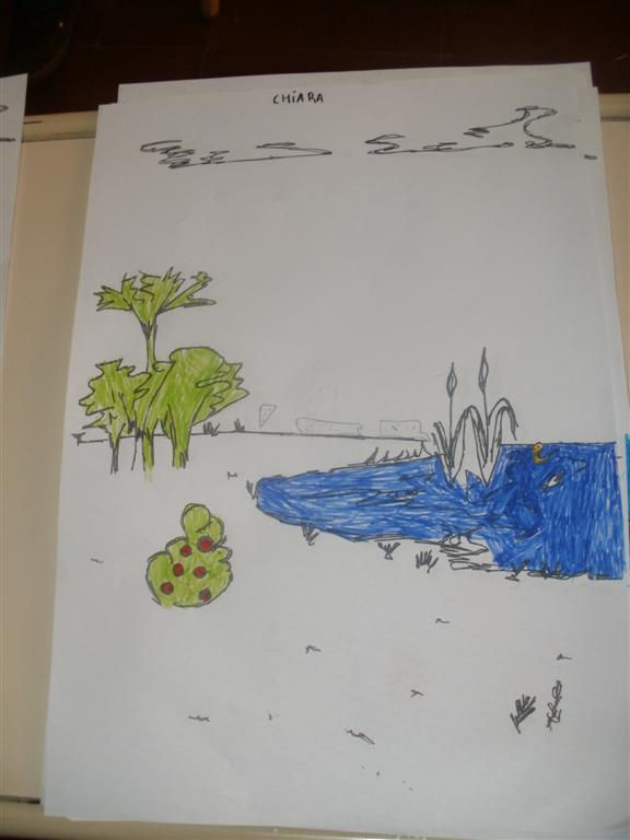 P9230019 (Large).JPG