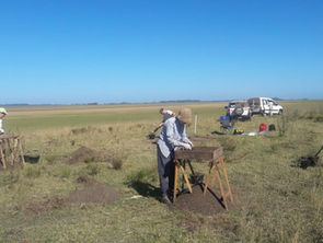 Trabajo de campo en Lagunas Esquivel y Del Medio (Chascomús)