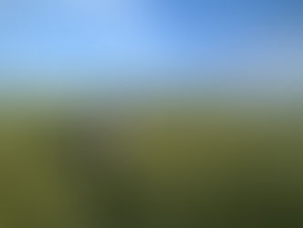 Prospección en General Belgrano