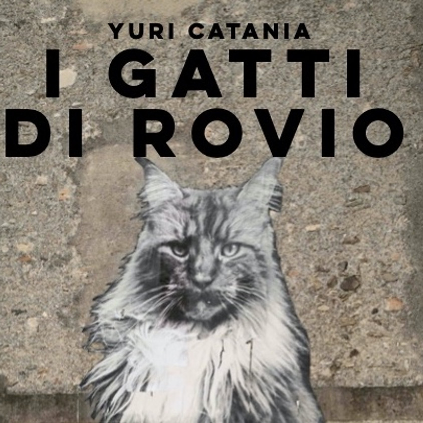 I Gatti di Rovio