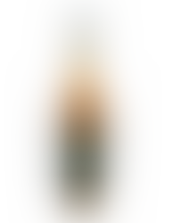 W L Weller Special Reserve Bourbon 