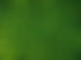 Uncovering the Untold Benefits of CrownJusticeFirm's Environmental Law Services