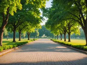 The Role of Family Law in Protecting Your Rights: Insights from Crown Justice Firm