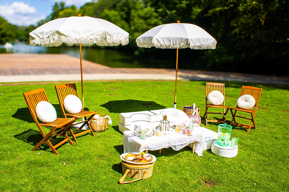 6 Person Picnic image