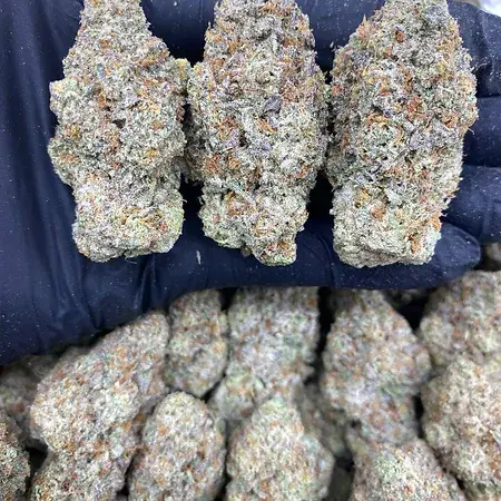 Cherry Runtz is a hybrid weed strain made by crossing Runtz and Cherry Pie, with the big, beautiful purple buds to match. The effects of Cherry Runtz are believed to be euphoric and tingly