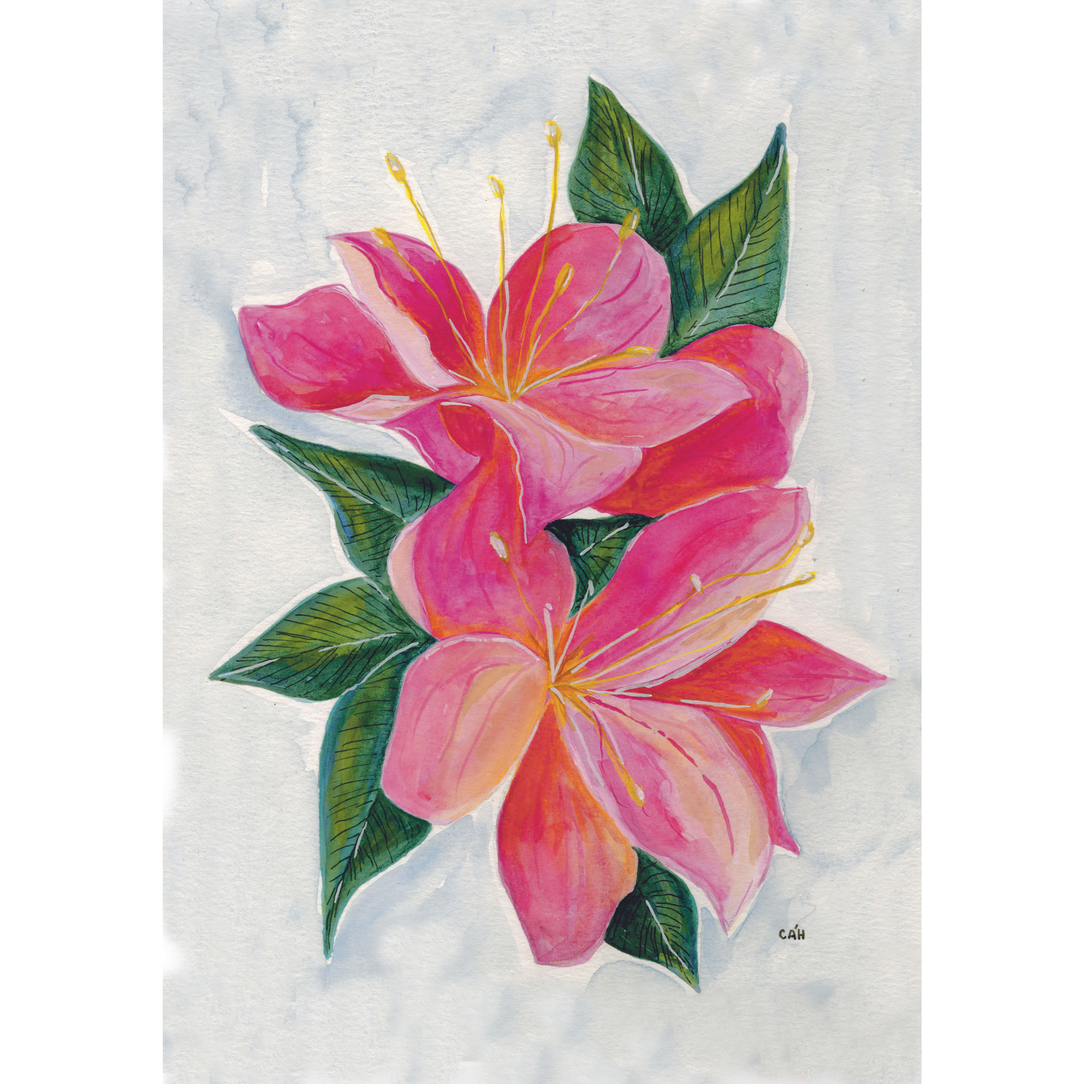 Print floral pink A4