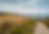 Alesstenar©ChristianGerlach.png
