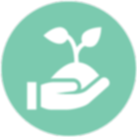 Oxford City Council, Southampton City Council, Brighton and Hove City Council, Waltham Forest Council