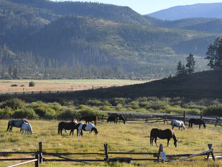 Colorado’s Devil’s Thumb Ranch Resort and Spa