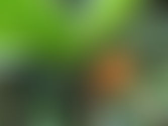 Plant conservation tools