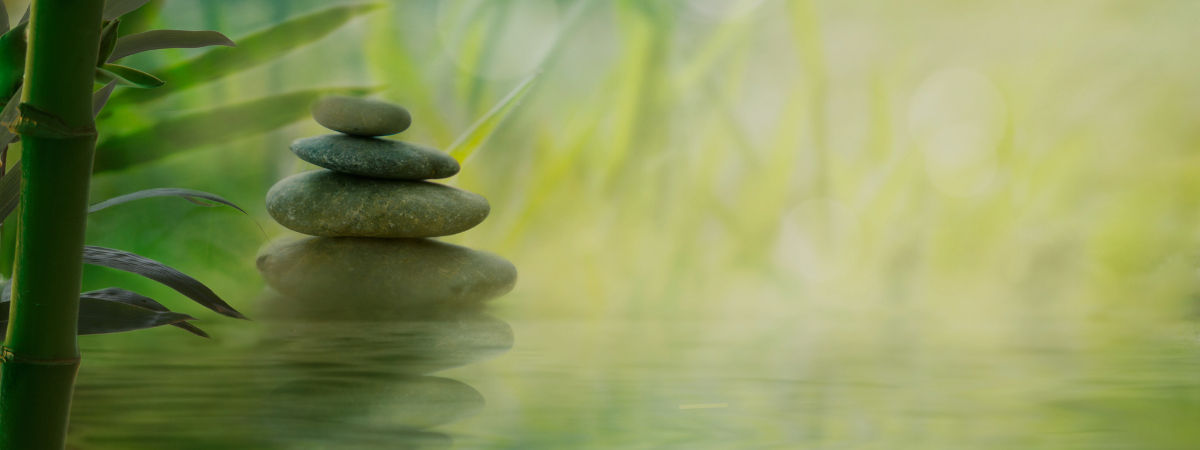 BodyTalk Access Intro talk