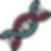 dna (1).png