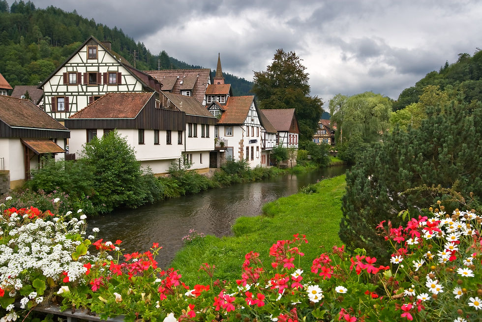 Black Forest, Germany shutterstock_62781592 (2).jpg