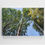 Thumbnail: Forest Canopy 800mm by 600mm canvas