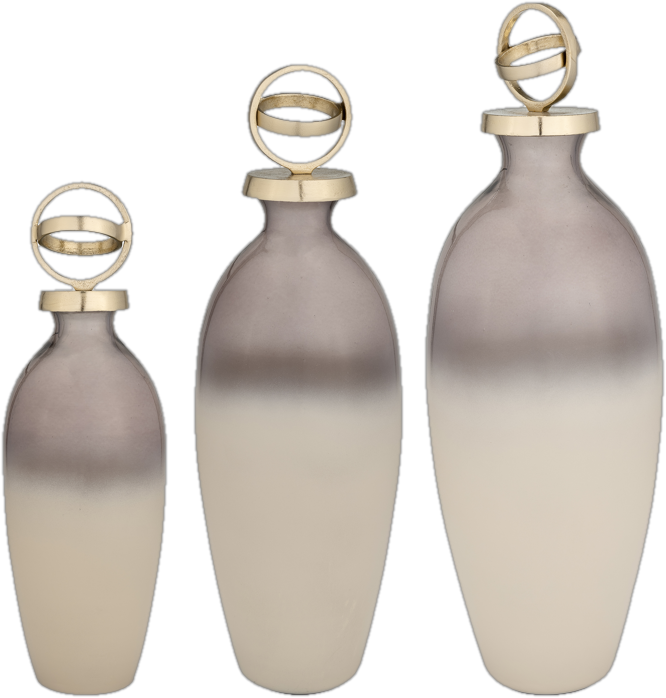 owego_home_decor_bottle_decorative_gold_rings_vase_group_view