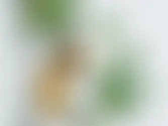 Oportunidade Verde: Como a Descriminalização da Maconha Impulsiona o Mercado de Cultivo Indoor no Brasil!