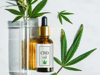Oportunidade Verde: Como a Descriminalização da Maconha Impulsiona o Mercado de Cultivo Indoor no Brasil!