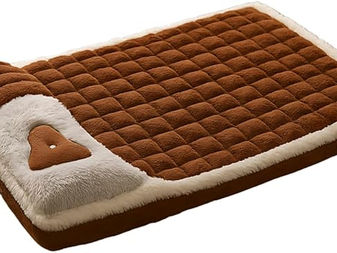 Mundo pet: Cama ortopédica, alimentação natural, e brinquedos inteligentes, três soluções para melhorar a vida do seu animal de estimação.