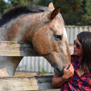 You Can’t Placebo a Horse