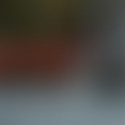 Equine Motor Control: The Impact of Injuries, Pain, and Imbalance on Movement