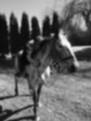 IMG_2709.JPEG