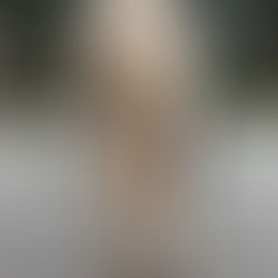 Pelvic Upslip in Horses: From Lameness to Soundness in Two Months