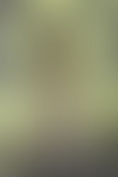 The Kiss of Deception