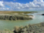 IMG_6088.jpeg